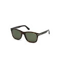 トムフォード サングラス TOM FORD FT0595 Tom Ford FT 0595 Eric Sunglasses 52N Dark Havana/Gr...