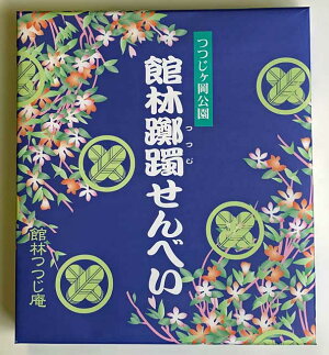 ごません16-つつじ
