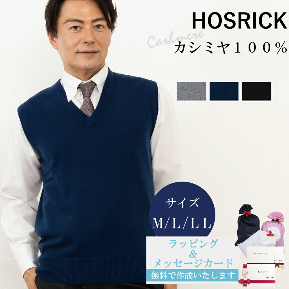 カシミヤ ベスト カシミヤ100％試験鑑定済 カシミヤ100% 紳士 紳士V首ベスト M-LL 28407 カシミア カシ..