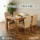 _{7%OFF&P10{&100%PobNI&yV^ x^V[Y _CjOe[u RKT-2942-120 120cm 4lp 4l| _CjO e[u H He[u Z^[e[u  e[uPi e[uP Pi P ` Ƌ