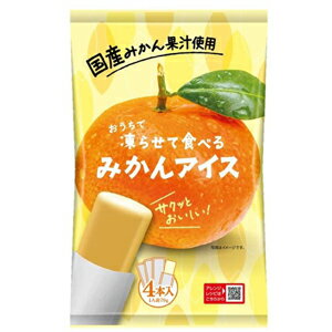 凍らせて食べるみかんアイス（70g×4）12袋入　谷尾食糧工業のサムネイル