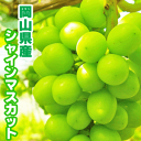 【予約受付開始】【送料無料】【お中元】【ギフト】【贈答品】【...