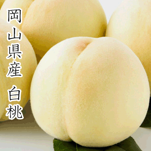 【予約受付開始】【7月中旬〜順次出荷】【送料無料】【お中元】【ギフト】【贈答品】岡山県産 清水白桃 4kg進物用のサムネイル