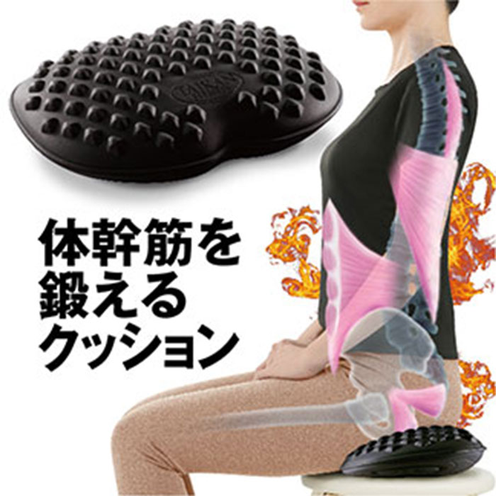 ダイエット器具 お腹周り お尻の筋肉 骨盤底筋【体幹筋シェイプ　エクササイズマット】体幹 トレーニング マット たるみ 引き締め 骨盤 体幹トレーニング おうち時間 ながらダイエット オフィス 職場 バランス グッズのサムネイル