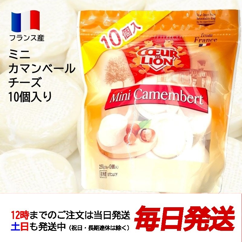 【セール中】冷蔵品（クールドリオン ミニ カマンベールチーズ 250g）10個 COEUR DE LION 1個25g フランス産 カマンベール チーズ おつまみ コストコ 575069