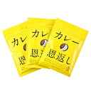 ポスト投函便(3袋セット マスコット ほぼ日 カレーの恩返し 40g×3個)カレー スパイス トッピング 583698
