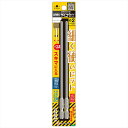 ANEX ASKM2150 サイコウ(細硬)ビット 2本組 +2X150