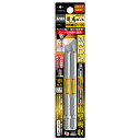 ANEX ARS2100 龍靭四角ビット 片頭タイプ 2本組 #2X100
