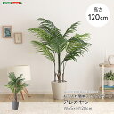フェイクグリーン 人工観葉植物 観葉植物 鉢付 アレカヤシ ヤシ Mサイズ 140cm おしゃれ リアル グリーン お手入れ簡単 西海岸 リアル ナチュラル オ...
