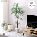 フェイクグリーン 人工観葉植物 観葉植物 鉢付 エバーフレッシュ Mサイズ 160cm おしゃれ リアル グリーン お手入れ簡単 北欧 リアル ナチュラル オシ...