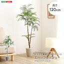 フェイクグリーン 人工観葉植物 観葉植物 鉢付 エバーフレッシュ Sサイズ 120cm おしゃれ リアル グリーン お手入れ簡単 北欧 リアル ナチュラル オシ...