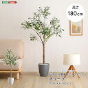 フェイクグリーン 人工観葉植物 観葉植物 鉢付 オリーブ Mサイズ 150cm おしゃれ リアル グリーン お手入れ簡単 北欧 リアル ナチュラル オシャレ 送...
