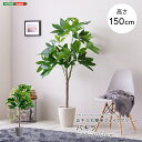 フェイクグリーン 人工観葉植物 観葉植物 鉢付 パキラ Mサイズ 150cm おしゃれ リアル グリーン お手入れ簡単 北欧 リアル ナチュラル オシャレ 送料...