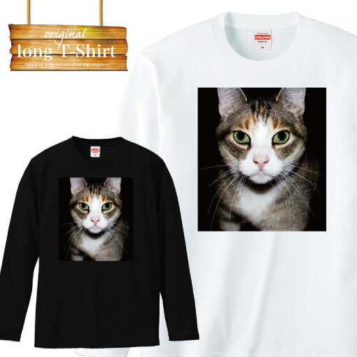 ロングスリーブ ロンT 長袖 フォト 猫 ネコ ねこ キャット ペット 動物 三毛猫 癒し 可愛い メンズ レディース 長袖 MENS S M L XL XXL T-SHIRT 大きいサイズ ビックシルエット ロングスリーブ ロンT 長袖 フォト 猫 ネコ ねこ キャット ペット 動物 三毛猫 癒し 可愛い メンズ レディース 長袖 MENS S M L XL XXL T-SHIRT 大きいサイズ ビックシルエット