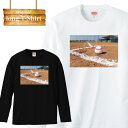 OX[u T  싅 baseball x[X{[ R[g OEh d   K Y fB[X  MENS S M L XL XXL T-SHIRT 傫TCY rbNVGbg