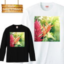 OX[u T hawaii aloha An nC sunset TZbg r[` beach C summer  Y fB[X  MENS S M L XL XXL T-SHIRT 傫TCY rbNVGbg