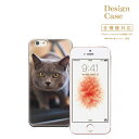 iPhone8 plus iphone7ケース animal アニマル アニマル柄 猫 ネコ ねこ 子猫 キャット cat ペット シャム ペルシャ ベンガル アメリカンショートヘア ロシアンブルー ヒマラヤン ねこちゃん にゃんにゃん ニャンニャン にゃー