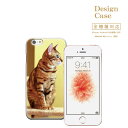 iPhone8 plus iphone7ケース 猫 ネコ ねこ 子猫 キャット cat ペット シャム ペルシャ ベンガル アメリカンショートヘア ロシアンブルー ヒマラヤン ねこちゃん にゃんにゃん ニャンニャン にゃーanimal アニマル アニマル柄