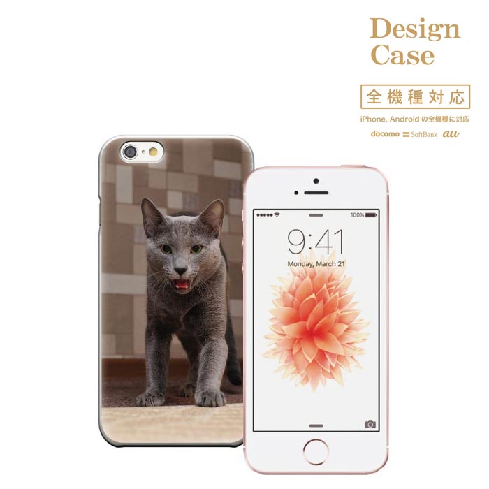 iPhone8 plus iphone7ケース 猫 ネコ ねこ 子猫 キャット cat ペット シャム ペルシャ ベンガル アメリカンショートヘア ロシアンブルー ヒマラヤン ねこちゃん にゃんにゃん ニャンニャン にゃーanimal アニマル アニマル柄