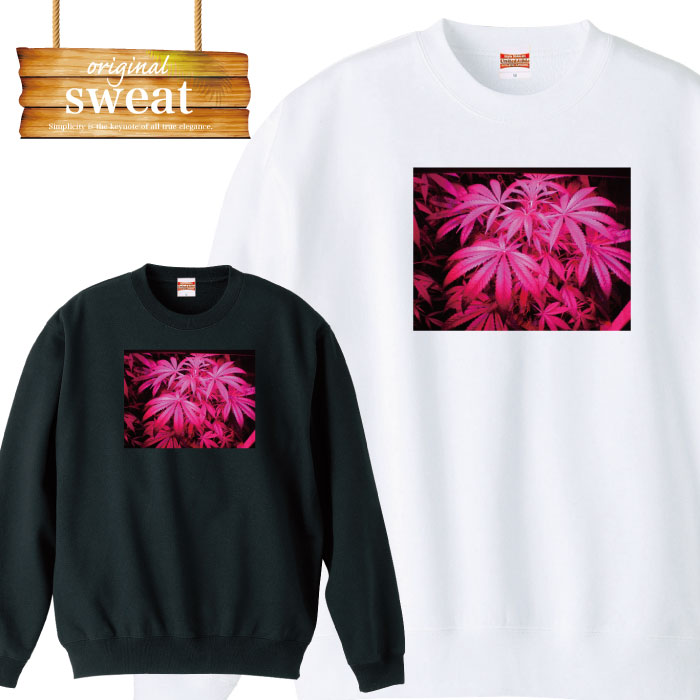 スウェット トレーナー ストリート 植物 草 hiphop バッヅ 緑 パープル 医療植物 自然 レゲエ レゲエ ファッション メンズ レディース アパレル ワンポイント 流行 トレンド street ピープス系 スト系