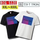 【※夏の限定ゲリラ開催10%OFF 割引クーポン発行※ 7/15~7/21まで!】 Tシャツ でかT TRON XXL XXXL 2L 3L BIG 大きめ 白Tee 黒Tee フォトT フォト 写真 グラデーション かっこいい ストリート スケーター HIPHOP ヒップホップ ブラック