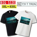 ビッグサイズ Tシャツ でかT TRON オーバーサイズ 大きめ 半袖 トップス 半袖シャツ カットソー 海 海岸 海辺 リゾート 海面 風景 景色 バカンス 夏 サマー 英字 英語 文字 空 雲 クール お洒落 可愛い かっこいい デザイン 人気 黒白Tシ
