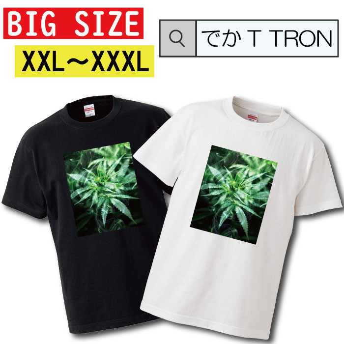 y10%OFF N[|s }\ Ԍ 5/9 20:00`5/16 01:59܂ŁIz TVc łT TRON XXL XXXL@2L 3L BIG 傫 QG hiphop QG R SMOKE A  ÐA   ʐ^ tHg tHgT vg fUC m