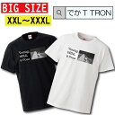 【※ゲリラ開催10%OFF 割引クーポン発行※ 8/20~8/25まで!】 ビッグサイズ Tシャツ でかT TRON オーバーサイズ 大きめ Young, Wild, & Free 若さ 若者 子供 child 仲間 友達 friend 自由 絆 ロゴ 写真 フォト フォトT プリント デザイン