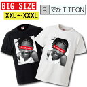 Tシャツ ビッグサイズ BIG SIZE でかT TRON 大きめ オーバーサイズ girl sexy セクシー 女の子 カリフォルニア ガール アメリカ 星条旗 合衆国 USA ARMY アメリカン america california newyork brooklyn ニューヨーク 写真 フォト フォトT プリント デザイ(4)