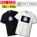 TVc łT TRON XXL XXXL@2L 3L BIG 傫 bike oCN I[goC It[h AJ Xg[g street brand sN`[ logo ʐ^ tHg tHgT vg fUC m