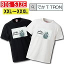 Tシャツ でかT TRON XXL XXXL　2L 3L BIG 大きめ aloha hawaii ハワイアン プール パイナップル アロハ グアム パイン honolulu ホノルル 水着 休暇 ンス 夏休み T-shirt ティーシャツ 半袖 大きいサイズあり big size ビックサイズ box l