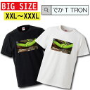 TVc rbOTCY BIG SIZE łT TRON 傫 I[o[TCY  snake Xl[N  Ŏ wr KKwr ঒ |[ N V}wr }JKV NTwr N̗ǂ T-shirt eB[Vc  傫TCY big size rbNTCY s