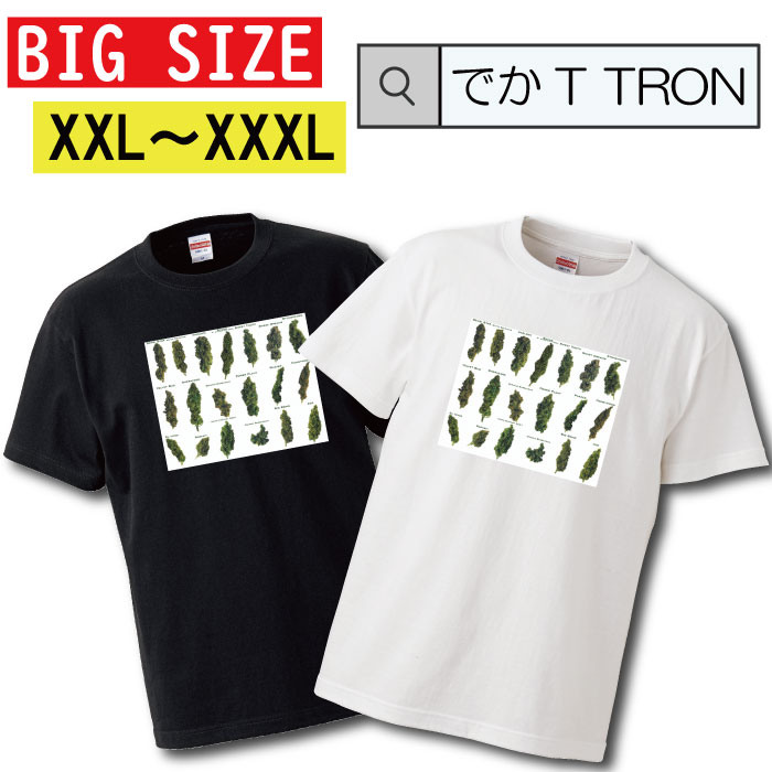 y10%OFF N[|s }\ Ԍ 5/9 20:00`5/16 01:59܂ŁIz rbOTCY@TVc łT TRON I[o[TCY 傫 T-shirt eB[Vc  street Xg[gn sexy ZNV[ O obY KUSH weed 喃 WCg sk8 XP{[ j