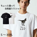 Tシャツ 半袖 tee S M L XL XXL XXXL メンズ レディース ユニセックス ティーシャツ 人気 トレンド ビックサイズ 部屋着 寝間着 シンプル 面白い おもしろ ユニーク お笑い カジュアル ウケ狙い プレゼント トカゲ 恐竜 ちょっと違って全然違うシリーズ