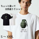 Tシャツ 半袖 tee S M L XL XXL XXXL メンズ レディース ユニセックス ティーシャツ 人気 トレンド ビックサイズ 部屋着 寝間着 シンプル 面白い おもしろ ユニーク お笑い カジュアル ウケ狙い プレゼント ピーマン 手榴弾 ちょっと違って全然違うシリーズ