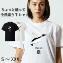 Tシャツ 半袖 tee S M L XL XXL XXXL メンズ レディース ユニセックス ティーシャツ 人気 トレンド ビックサイズ 部屋着 寝間着 シンプル 面白い おもしろ ユニーク お笑い カジュアル ウケ狙い プレゼント ペンギン 鳥 ちょっと違って全然違うシリーズ