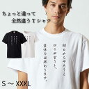 Tシャツ 半袖 tee S M L XL XXL XXXL メンズ レディース ユニセックス ティーシャツ 人気 トレンド ビックサイズ 部屋着 寝間着 シンプル 面白い おもしろ ユニーク お笑い カジュアル ウケ狙い プレゼント 夏休み 怠け者 ちょっと違って全然違うシリーズ