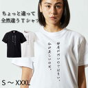 Tシャツ 半袖 tee S M L XL XXL XXXL メンズ レディース ユニセックス ティーシャツ 人気 トレンド ビックサイズ 部屋着 寝間着 シンプル 面白い おもしろ ユニーク お笑い カジュアル ウケ狙い プレゼント 汚部屋 ちょっと違って全然違うシリーズ