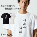 Tシャツ 半袖 tee S M L XL XXL XXXL メンズ レディース ユニセックス ティーシャツ 人気 トレンド ビックサイズ 部屋着 寝間着 シンプル 面白い おもしろ ユニーク お笑い カジュアル ウケ狙い プレゼント 持病 仮病 サボり ちょっと違って全然違うシリーズ