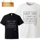 【※ポイント4倍※ お買い物マラソン 期間限定 5/9 20:00～5/16 01:59まで！】T-SHIRT Tシャツ プリント 夏 デザイン プランド ストリート オリジナル アパレル 服 洋服 メール便 送料無料 Tシャツ メンズ Tシャツ レディース 半袖 アパレル MENS LADIES MEN WOMEN S M L XL