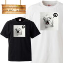 【※ゲリラ開催10%OFF 割引クーポン発行※ 8/20~8/25まで!】 犬 わんこ 動物 アニマル dog animal 可愛い cute モノクロ ロゴ 写真 フォト フォトT Tシャツ プリント デザイン 洋服 t-shirt 白 黒 ホワイト ブラック