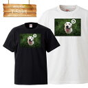 【※ゲリラ開催10%OFF 割引クーポン発行※ 8/20~8/25まで!】 犬 いぬ ワンコ わんこ 動物 アニマル dog animal 可愛い cute モノクロ ロゴ 写真 フォト フォトT Tシャツ プリント デザイン 洋服 t-shirt 白 黒 ホワイト ブラック