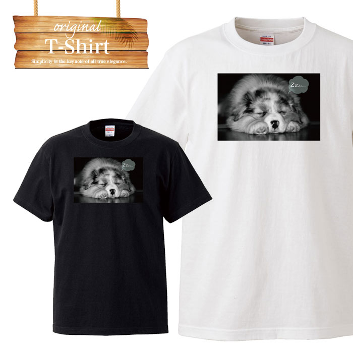 y10%OFF N[|s }\ Ԍ 5/9 20:00`5/16 01:59܂ŁIz   R   Aj} dog animal  cute mN S ʐ^ tHg tHgT TVc vg fUC m t-shirt   zCg ubN