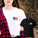 USA アメリカ アメリカ合衆国 america ニューヨーク newyork 星条旗 自由の女神 ロゴ 写真 フォト フォトT Tシャツ プリント デザイン 洋服 t-shirt 白 黒 ホワイト ブラック