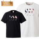 アメリカ アメリカ合衆国 USA united states of america ニューヨーク newyork 星条旗 自由の女神 ロゴ 写真 フォト フォトT Tシャツ プリント デザイン 洋服 t-shirt 白 黒 ホワイト ブラック