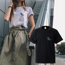 羽 天使の羽 bird 鳥 翼 バード フェザー l カラフ...