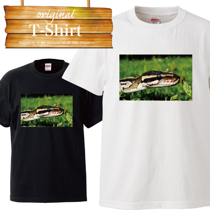 y10%OFF N[|s }\ Ԍ 5/9 20:00`5/16 01:59܂ŁIz  snake Xl[N  Ŏ wr KKwr ঒ |[pC\ R[Xl[N AI_CVE }V TVc T-shirt eB[Vc  傫TCY big size r