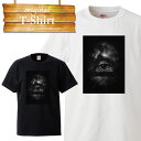 フリーメイソン イルミナティ 秘密結社 freemason プロビデンスの目 Eye of Providence Tシャツ T-shirt ティーシャツ 半袖 大きいサイズあり big size ビックサイズ