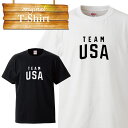 USA LOGO 国旗 アメリカ国旗 カレッジ 文字 流行 デザイン ロゴ Tシャツ T-shirt ティーシャツ 半袖 大きいサイズあり big size ビックサイズ