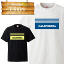 california ロサンゼルス LA SK8 カリフォルニア 星条旗 ロゴ logo デザイン Tシャツ T-shirt ティーシャツ 半袖 大きいサイズあり big size ビックサイズ